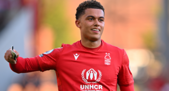 Brennan Johnson Resmi Telah Bergabung Dengan Tottenham